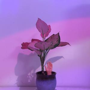 麻麻…好紧⋯好湿好深
