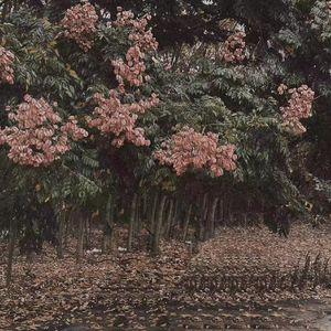 麻麻…好紧⋯好湿好深
